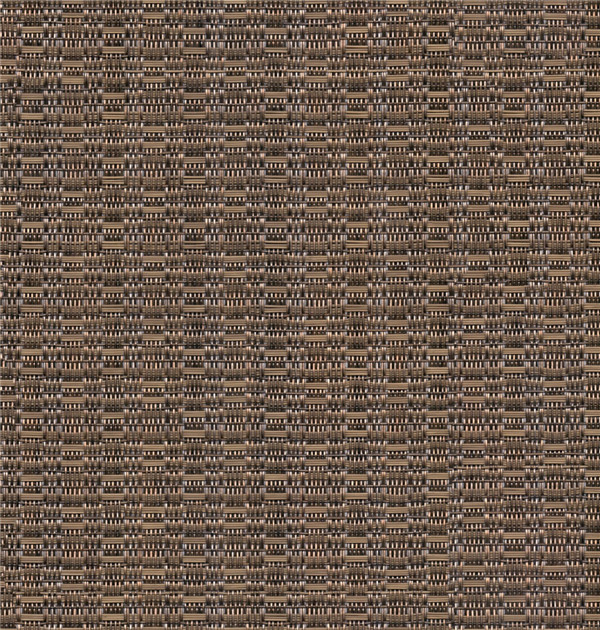 y̺F31010